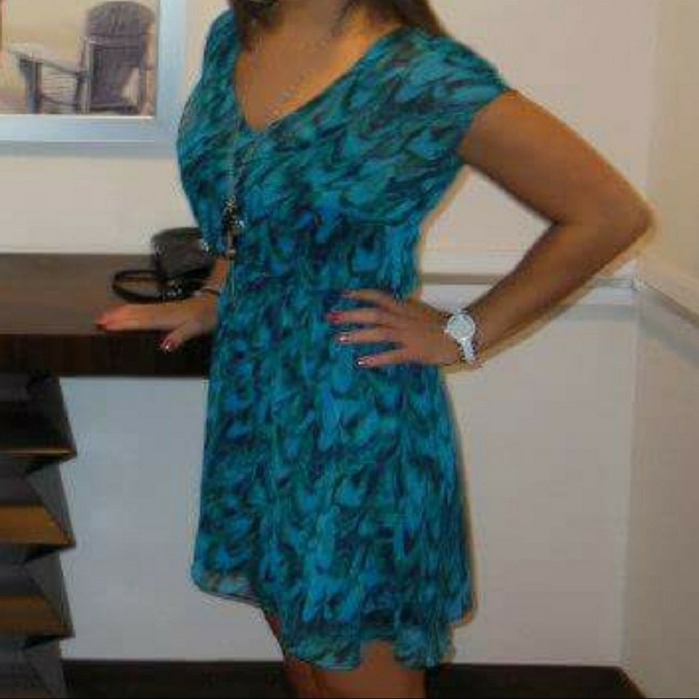 Express sheer dress